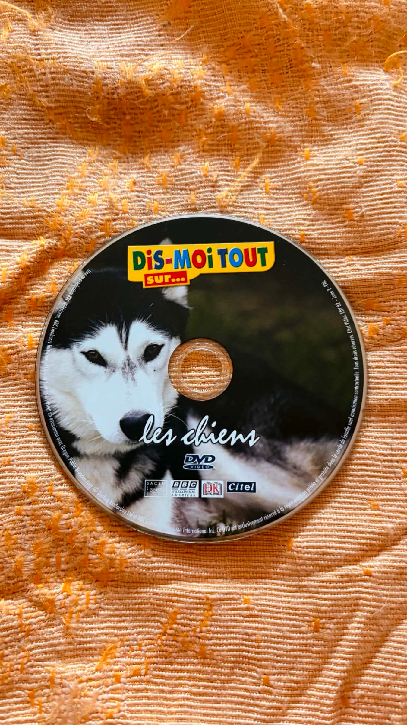 Dis-moi tout sur les chiens